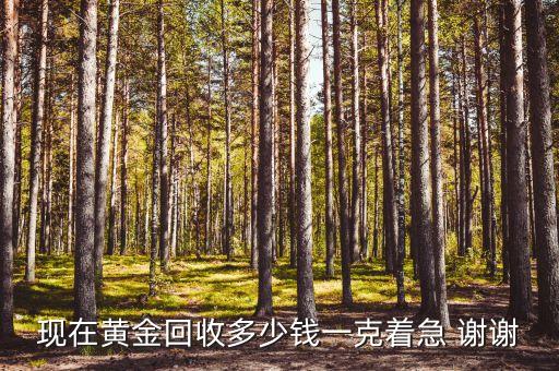 回收旧黄金多少钱一克，现在黄金回收多少钱一克着急 谢谢