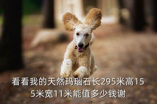 看看我的天然玛瑙石长295米高155米宽11米能值多少钱谢