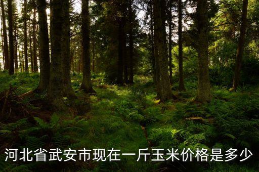 河北省武安市现在一斤玉米价格是多少