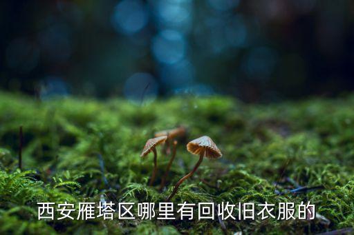 西安雁塔区哪里有回收旧衣服的