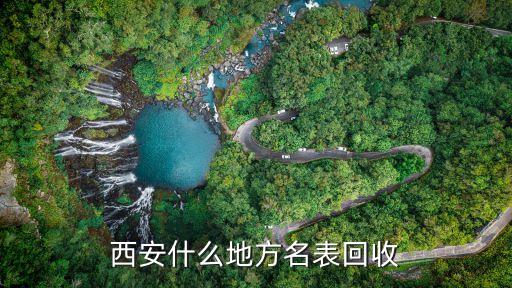 西安什么地方名表回收