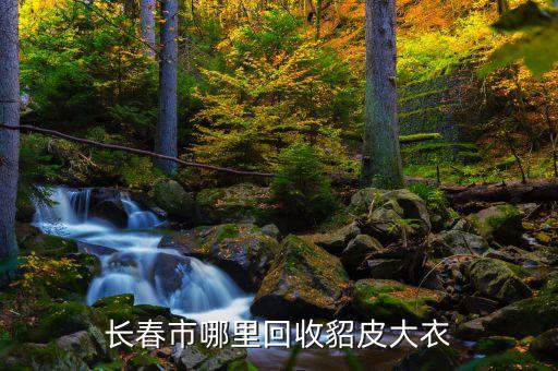 长春市哪里回收貂皮大衣