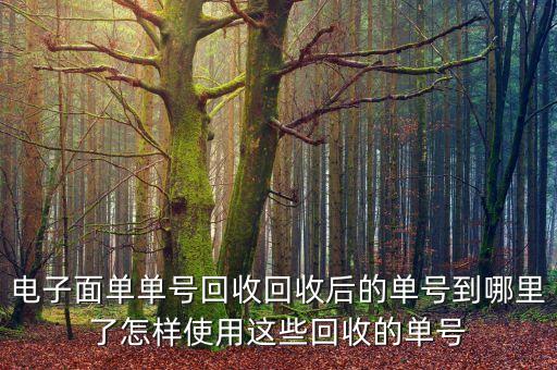 电子面单单号回收回收后的单号到哪里了怎样使用这些回收的单号