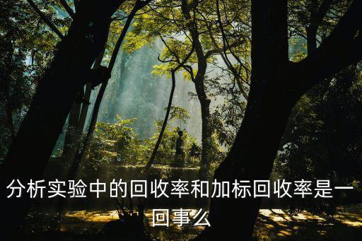 加标回收率怎么做，加标回收率的值会不会超过100