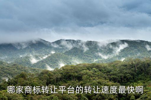 哪家商标转让平台的转让速度最快啊