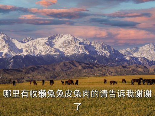 哪里有回收兔皮，哪里收购兔皮