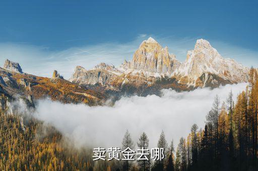 黄金到哪里去回收，卖黄金去哪