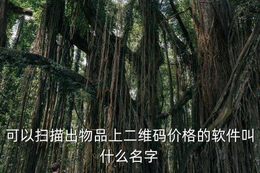 可以扫描出物品上二维码价格的软件叫什么名字