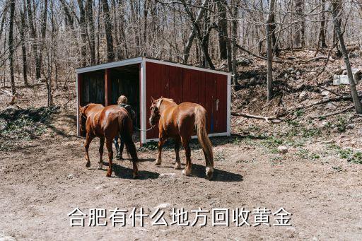 合肥有什么地方回收黄金