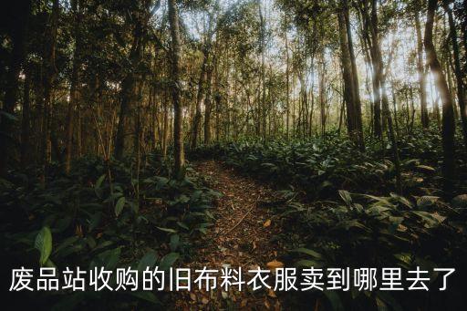 服装库存回收之后 都销往哪里，广东那边有很多收购库存服装的请问他们收回去干什么