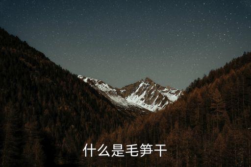 毛笋干哪里回收，有没有人收冬笋的毛竹笋