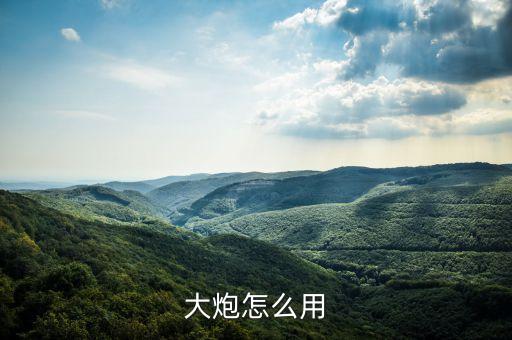 大炮怎么用