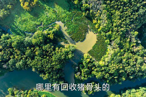 哪里回收骨头，哪里有回收猪骨头的