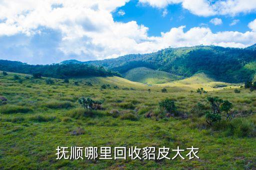 貂皮哪里能回收，长春市哪里回收貂皮大衣