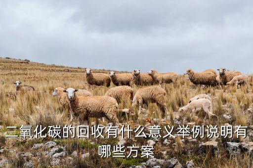 二氧化碳的回收有什么意义举例说明有哪些方案