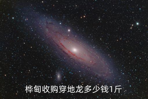 桦甸收购穿地龙多少钱1斤
