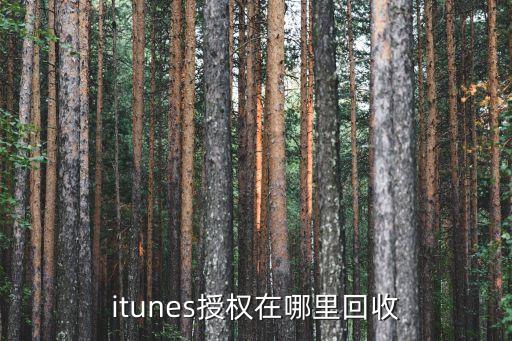 eshop哪里回收，iPad一般什么店回收啊去哪里可以回收
