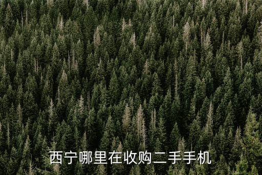 西宁哪里在收购二手手机