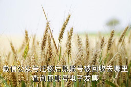 微信回收单号怎么查询，微信公众号迁移后原账号被回收去哪里查询原账号电子发票