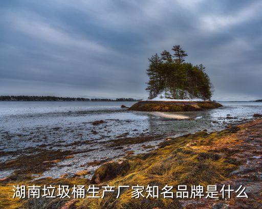 湖南垃圾桶生产厂家知名品牌是什么
