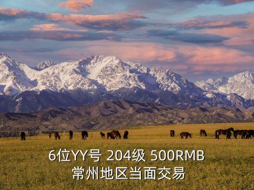 6位YY号 204级 500RMB 常州地区当面交易