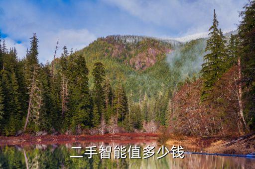 二手智能值多少钱