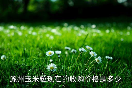 涿州玉米粒现在的收购价格是多少