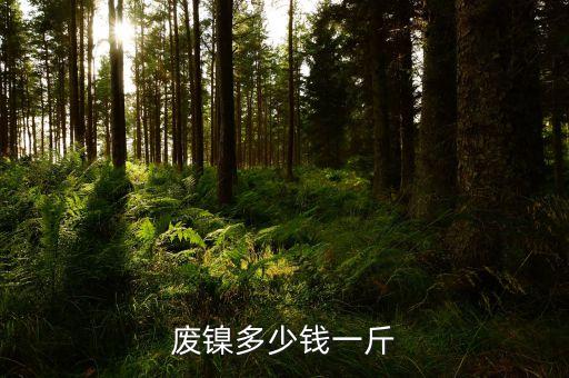 废镍多少钱一斤