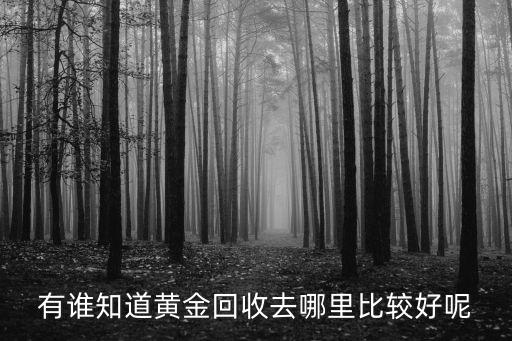 有谁知道黄金回收去哪里比较好呢