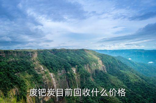 废钯炭目前回收什么价格