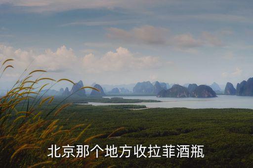 北京那个地方收拉菲酒瓶