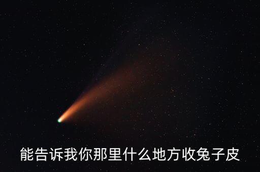 能告诉我你那里什么地方收兔子皮