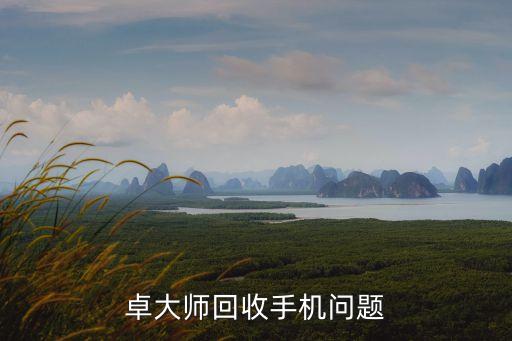 卓大师回收手机问题
