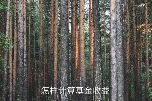 怎样计算基金收益