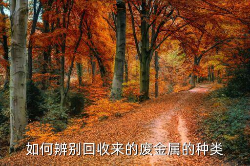 如何辨别回收来的废金属的种类