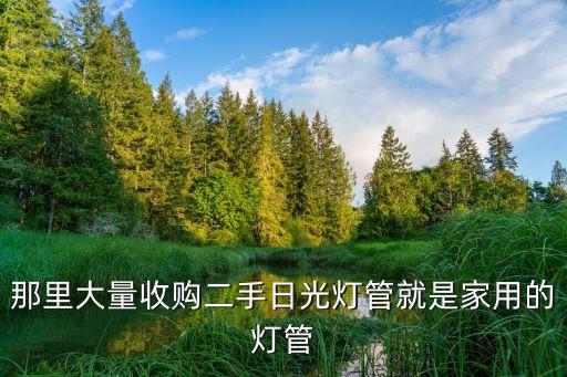 那里大量收购二手日光灯管就是家用的灯管