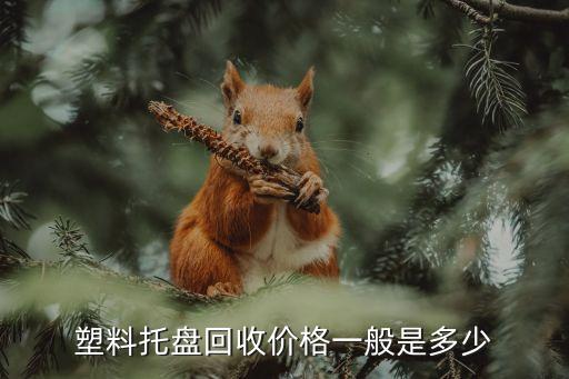 塑料托盘回收价格一般是多少