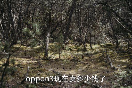 oppon3回收价是多少，二手oppoN3九成新能卖多少