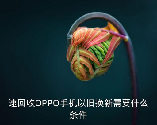 速回收OPPO手机以旧换新需要什么条件