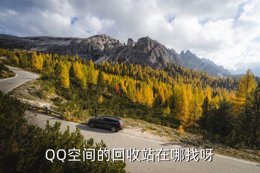 QQ空间的回收站在哪找呀