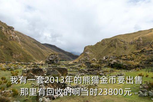 我有一套2013年的熊猫金币要出售那里有回收的啊当时23800元