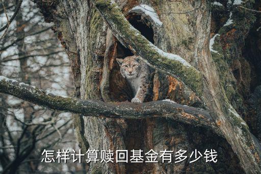 怎样计算赎回基金有多少钱