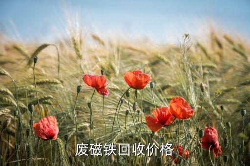 废磁铁回收价格