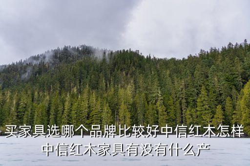 买家具选哪个品牌比较好中信红木怎样中信红木家具有没有什么产