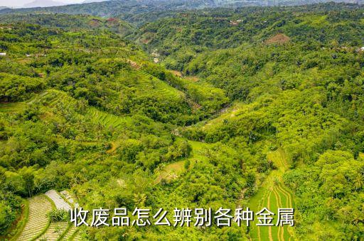 收废品怎么辨别各种金属