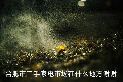 合肥市二手家电市场在什么地方谢谢