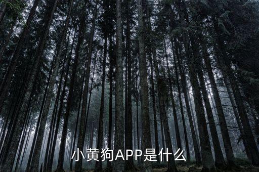 小黄狗APP是什么