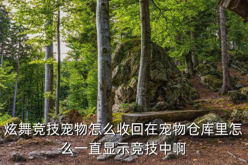 炫舞竞技宠物怎么收回在宠物仓库里怎么一直显示竞技中啊