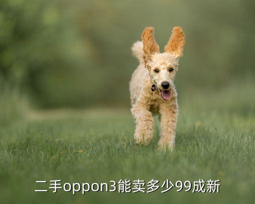 二手oppon3能卖多少99成新