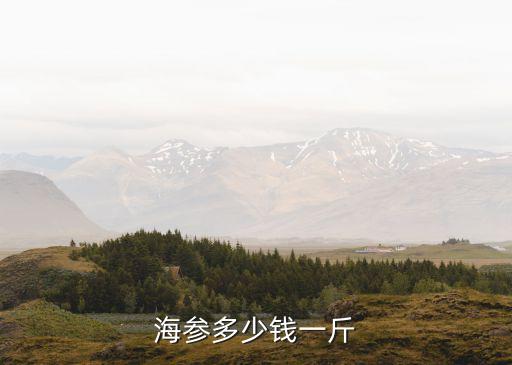 海参多少钱一斤